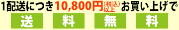 10,800円以上お買い上げで送料無料 10,800円以上お買い上げで送料無料